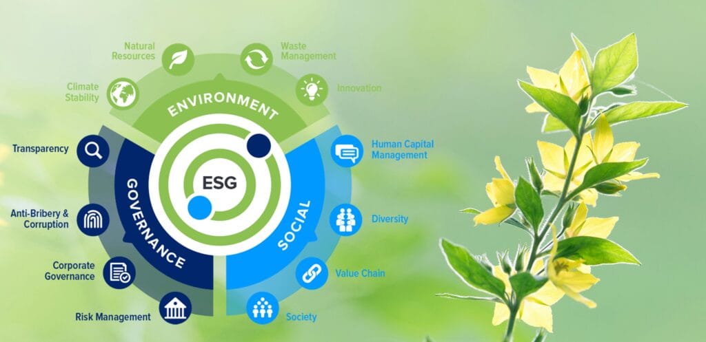 Why ESG Consulting Services in India Matter in 2025?