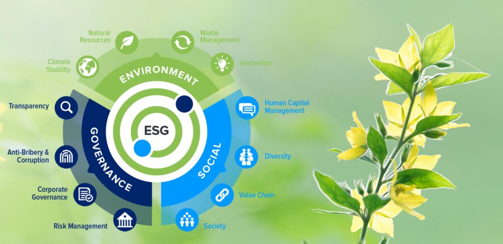 ESG Compliance Reporting