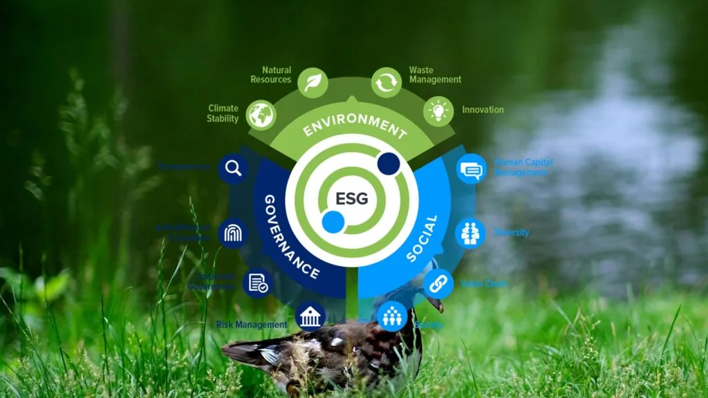 ESG Sustainability Consulting for Companies