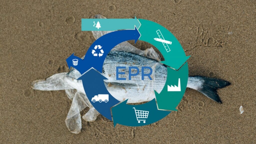EPR Consultancy Services for Brands