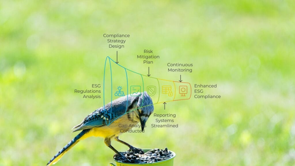 ESG Reporting Framework India
