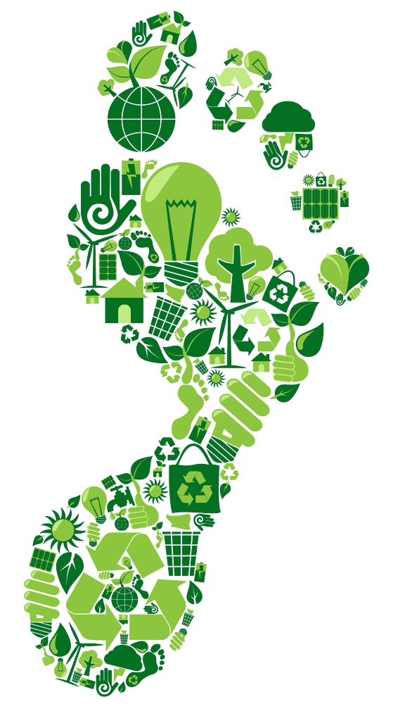 End-to-End EPR Services: Registration, Certificate & Filing