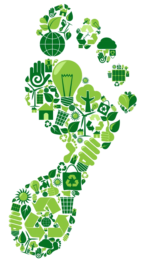 End-to-End EPR Services: Registration, Certificate & Filing