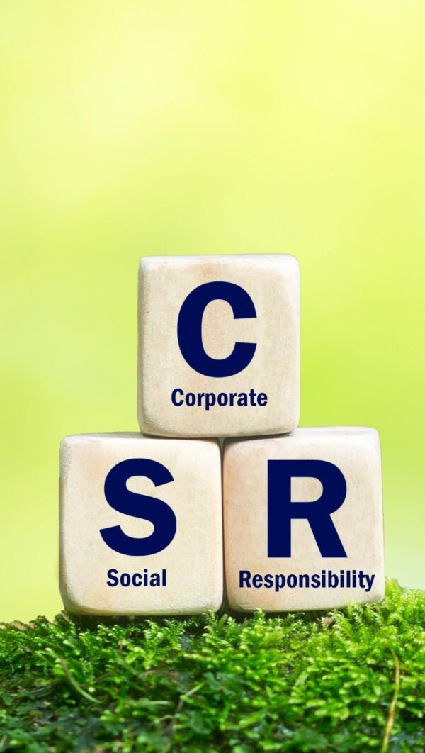 CSR Expenditure Tracker - Image 2