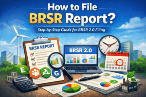 How to File BRSR Report?